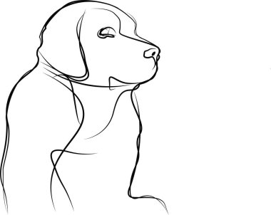 Siyah Labrador Retriever 'ın Çizgi Sanat Çizgisi