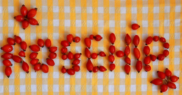 Özgün bir gül ağacı kavramı. Kendi meyvelerinden yapılmış, sarı kumaş arkaplanlı. Tıbbi çay malzemesi. İltihap önleyici ve ağrı kesici. Zengin vitamin kaynağı. Antioksidan ve hastalık önleyici. Sağlıklı beslenme mesajı. Organik homeopati.