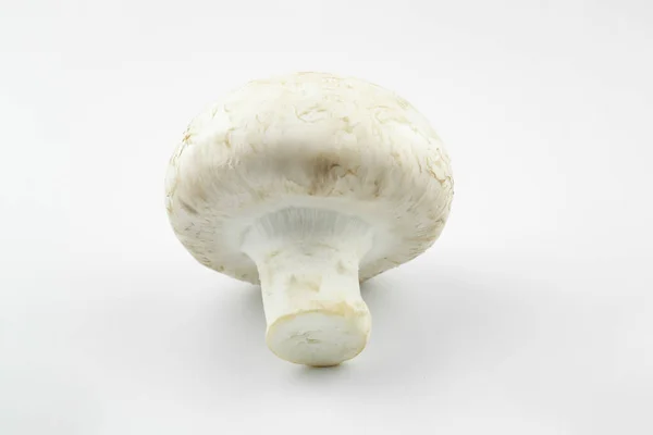 Mushroom Mushrooms White Isolated Background Close Mushrooms White Cutting Board — Stock Photo, Image