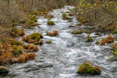 Kaliforniya'da tembel nehir
