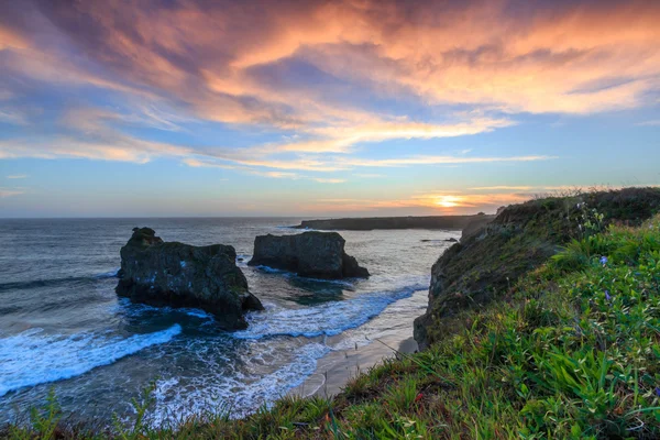 Vista Costeira no Condado de Mendocino — Fotografia de Stock