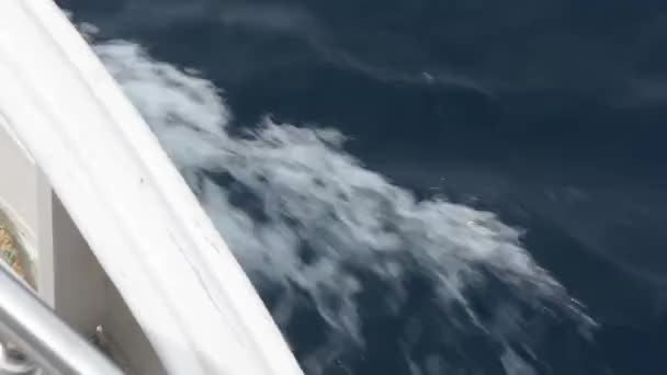 Sea. Boat. — Stock Video