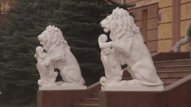 Chernivtsi bölgesel Devlet İdaresi