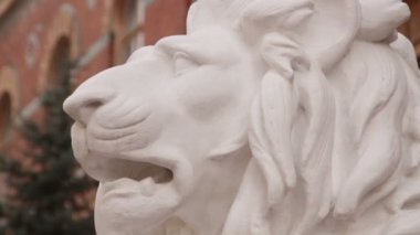 Chernivtsi bölgesel Devlet İdaresi