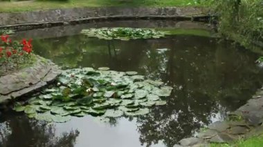 Romanya. kepek. Drakula Şatosu. avlu. Göl.