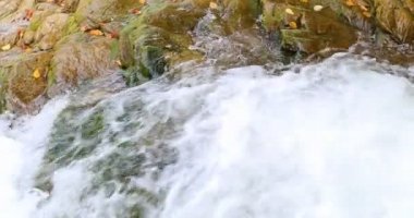 Sheshory şelaleler, Ukrayna. Su akıyor. Yakın çekim.