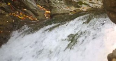 Sheshory şelaleler, Ukrayna. Kayaların üzerinden akan su. Yakın çekim.