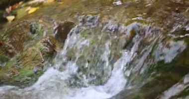 Sheshory şelaleler, Ukrayna. Kayaların üzerinden akan su. Yakın çekim.