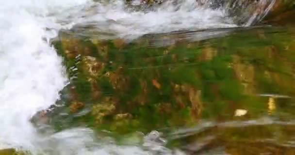 Sheshory waterfalls, Ukraine. Water flowing on grassed rocks. Upper plan. — Stock Video