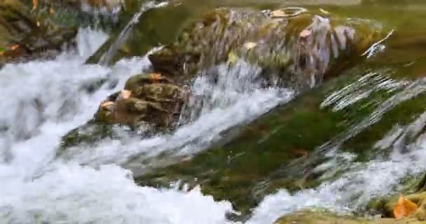 Sheshory vattenfall, Ukraina. Vatten som rinner över stenar. Närbild. — Stockvideo