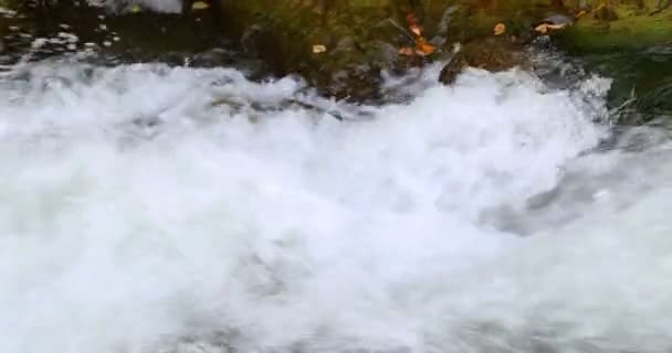 Chutes d'eau Sheshory, Ukraine. L'eau coule. Gros plan .