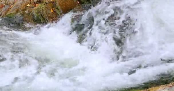 Chutes d'eau Sheshory, Ukraine. L'eau coule. Gros plan .