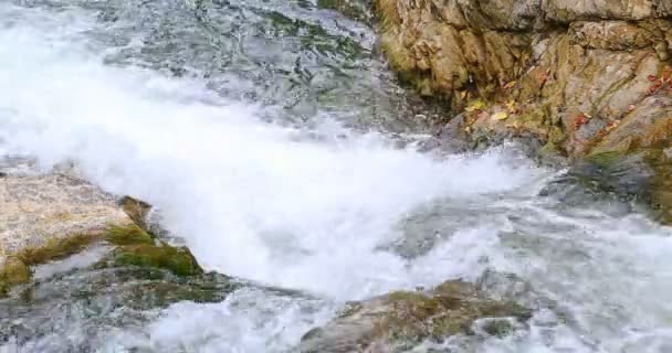 Cascadas Sheshory, Ucrania. Agua que fluye sobre rocas . — Vídeos de Stock