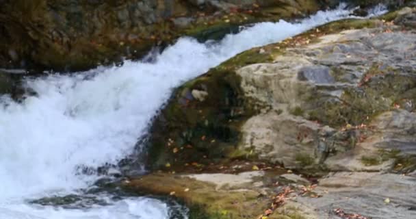 Sheshory waterfalls, Ukraine. Wasser fließt über Felsen. Nahaufnahme. — Stockvideo