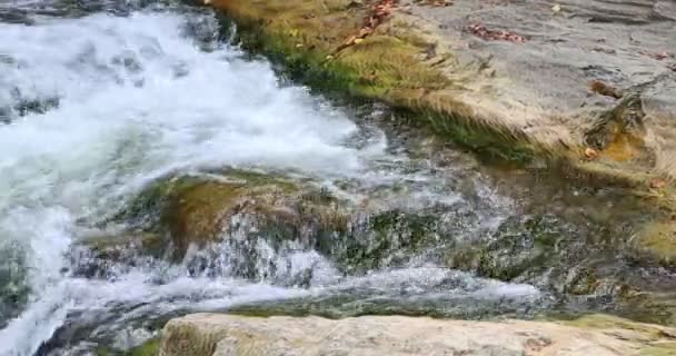 Sheshory waterfalls, Ukraine. Wasser fließt über Felsen. — Stockvideo