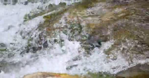 Sheshory waterfalls, Ukraine. Water flowing. Close-up. — Stock Video