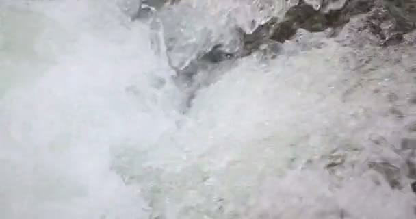 Chutes d'eau Sheshory, Ukraine. L'eau tombe. Gros plan . — Video