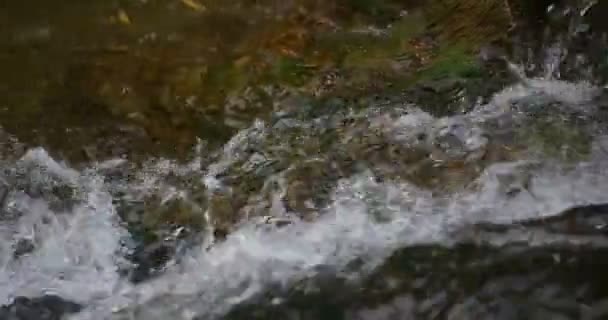 Sheshory waterfalls, Ukraine. Water flowing over rocks. Close-up. — Stock Video