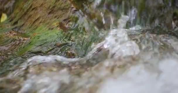 Sheshory watervallen, Oekraïne. Water stroomt over rotsen. Close-up. — Stockvideo