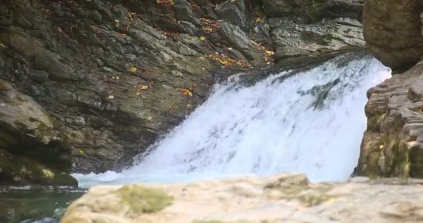 Cascadas Sheshory, Ucrania. Caída de agua . — Vídeos de Stock