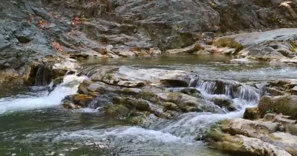Sheshory waterfalls, Ukraine. Wasser fließt über Felsen. — Stockvideo