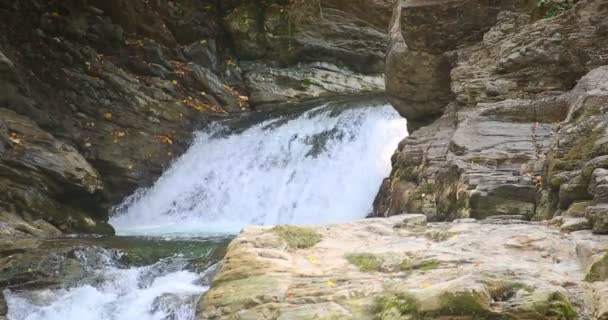 Sheshory waterfalls, Ukraine. Fallendes Wasser. weite Sicht. — Stockvideo