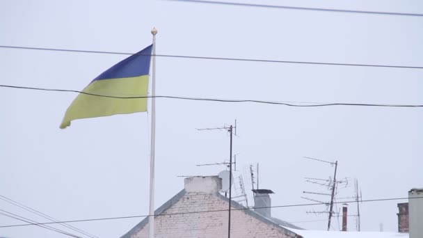Chernivtsi. Χειμώνα. Ουκρανική σημαία. — Αρχείο Βίντεο