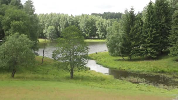 Natur. Sky, skog och sjö. — Stockvideo