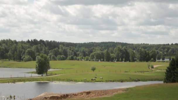 Příroda. Obloha, lesů a rybníků. — Stock video