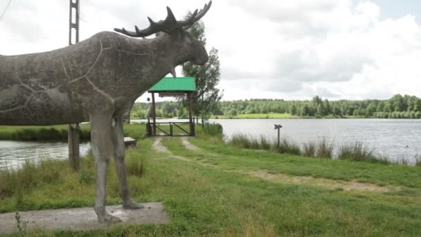 Statue d'un orignal au bord du lac . — Video