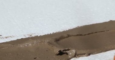 İnşaat. Adam harç strafor uğratan. Yakın çekim.