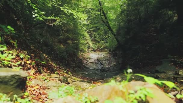 Bukovina Waterfalls, Roztoky, Oekraïne. — Stockvideo