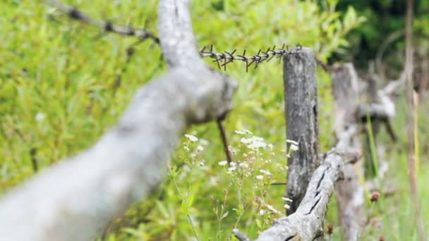 Rusty barbed wire on old posts. — Stock Video