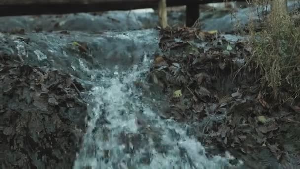 Flödande vatten närbild. Jurin vattenfall. Chervona, Ternopil, Ukraina. — Stockvideo