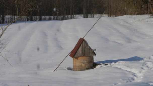 Druppels Smeltende Sneeuw Van Het Dak — Stockvideo