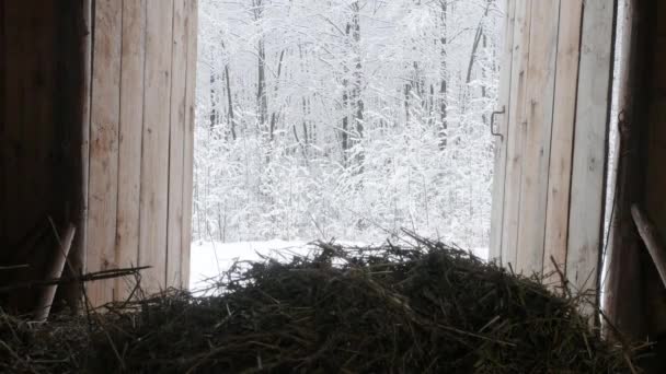 Haystack Egy Pajtában Vasvilla Felveszi Szívószálat Téli Falu — Stock videók