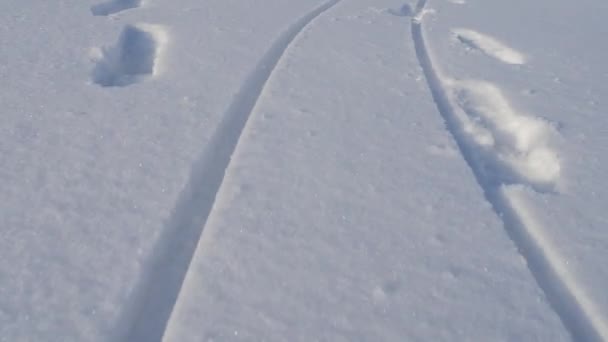 Smidiga Spår Och Fotspår Två Personer Snön — Stockvideo