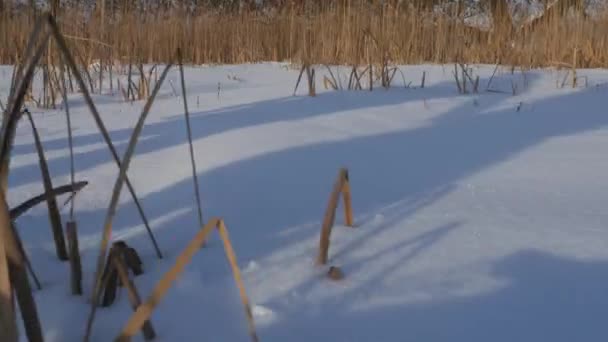 Sombras Duas Pessoas Caminham Longo Costa Lago Congelado — Vídeo de Stock