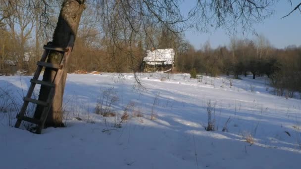Wit Rusland Winterlandschap Tijdsverloop Inzoomen — Stockvideo