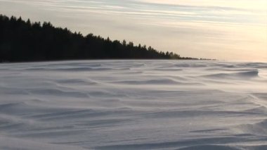 Karlı vahşi 6. mov