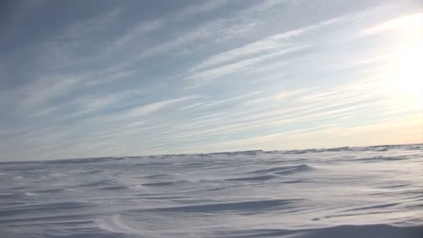 白雪皑皑的原野 2.mov — 图库视频影像