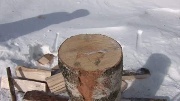 2. mov дрова — стокове відео
