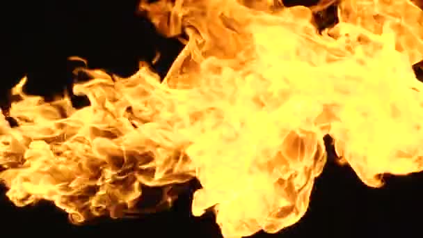 Fire black background 1.mov — Stock Video