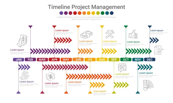 Project Timeline Graph Months Year All Month Planner Design Presentation — Stock Vector