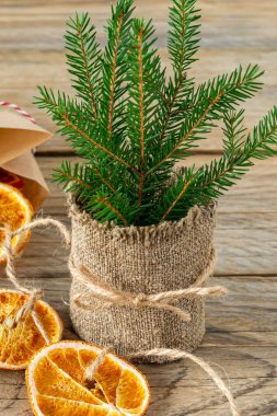 Noel kompozisyonu ladin ağacı dalları ve ahşap zemin üzerinde kurumuş portakal dilimlerinden yapılmış çelenkler. Kırsal biçim.