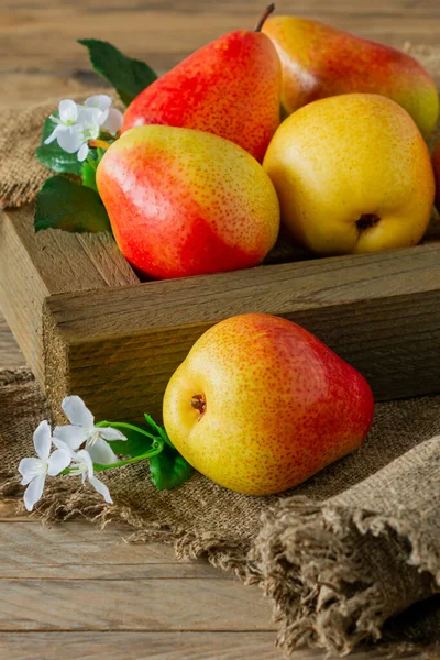 Ripe pears fruit. Harvested organic pear in wooden crate. Autumn harvest