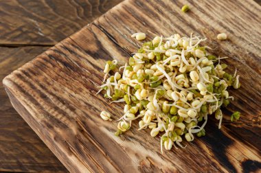 Yetiştirilmiş gıda. Kırsal ahşap arka planda bir tabakta filizlenmiş fasulye. Makrobiyotikler