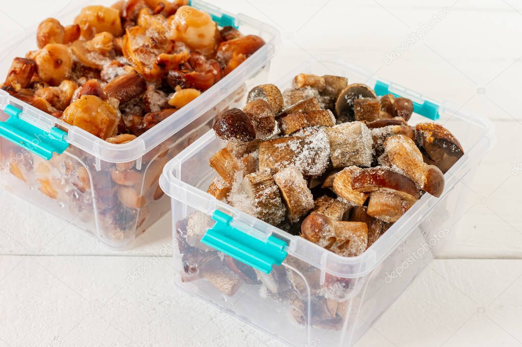 Semi-finished products. Frozen food. Agaric of honey mushrooms in plastic containers. Food preparation for winter