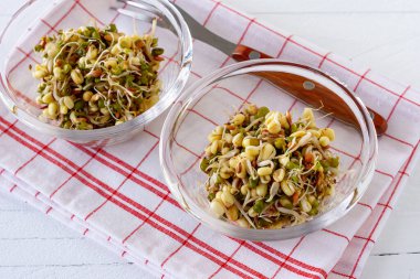 Beyaz masada bir kasede fasulye filizlendirdim. Sağlıklı konsept, makrobiyotik gıda