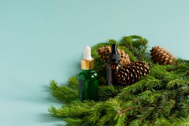 İki şişe esaslı yağ ve köknar dalı. Noel aromaterapisi ve spa konsepti.